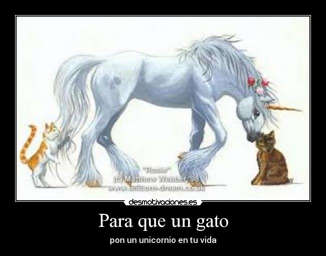 carteles para que gato desmotivaciones