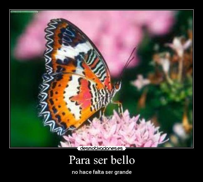 Para ser bello - 