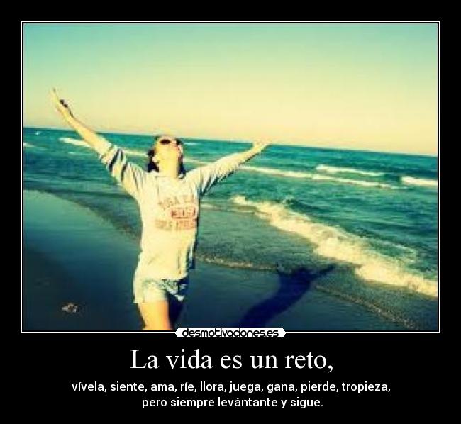 carteles vida dncv desmotivaciones