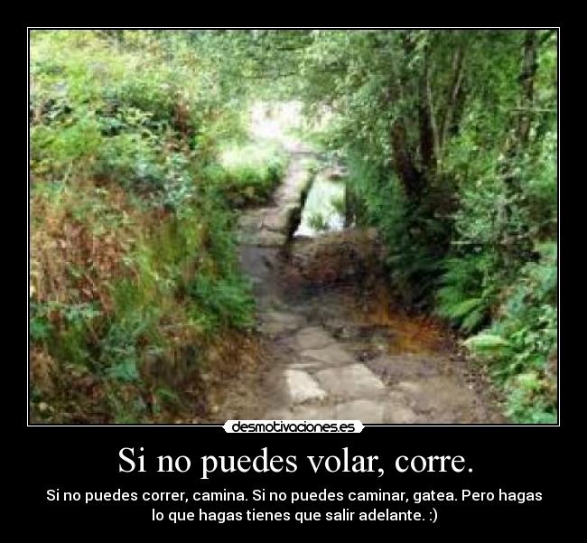 Si no puedes volar, corre. - Si no puedes correr, camina. Si no puedes caminar, gatea. Pero hagas
lo que hagas tienes que salir adelante. :)