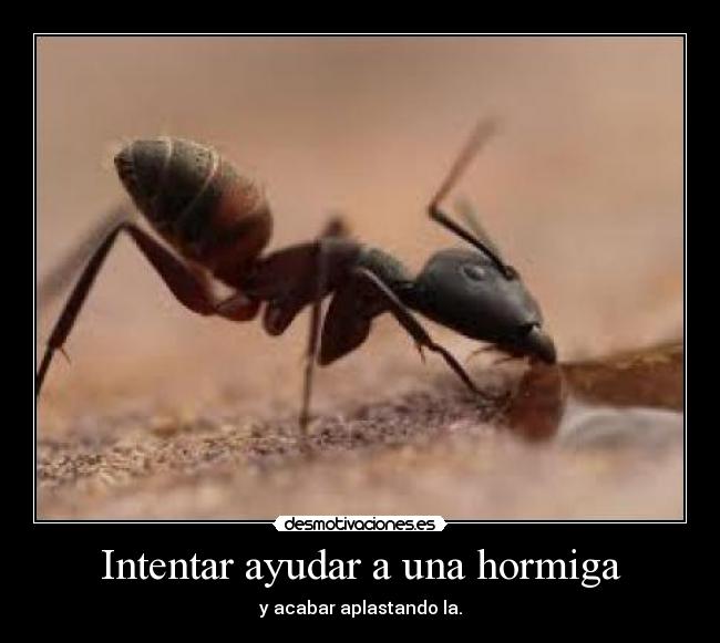 Intentar ayudar a una hormiga - y acabar aplastando la.