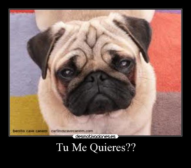 Tu Me Quieres?? - 