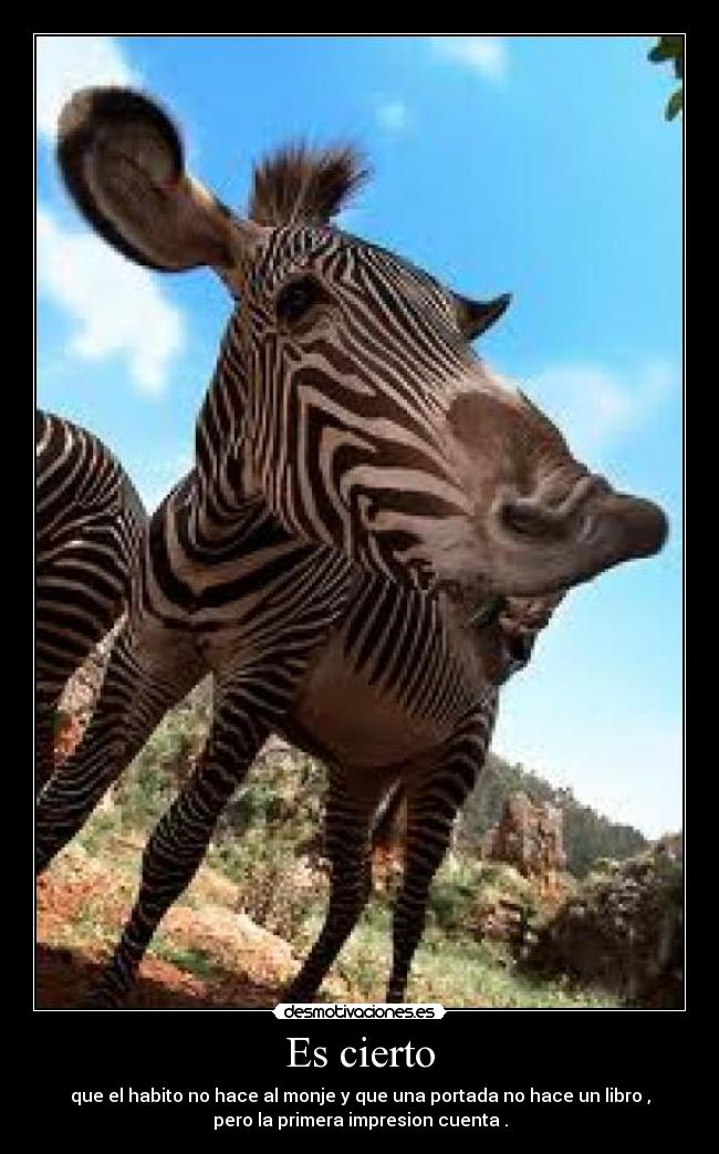 Es cierto - que el habito no hace al monje y que una portada no hace un libro ,
pero la primera impresion cuenta .