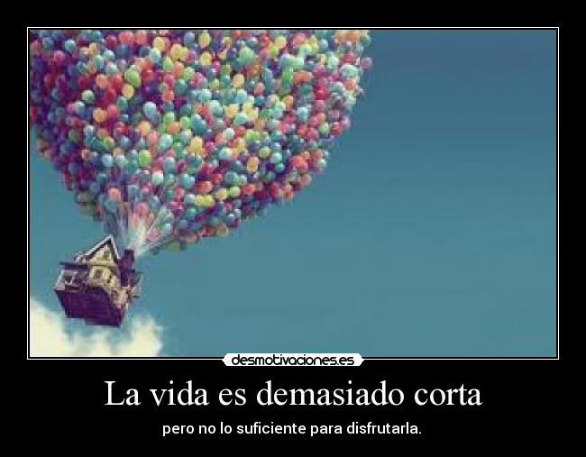 La vida es demasiado corta -