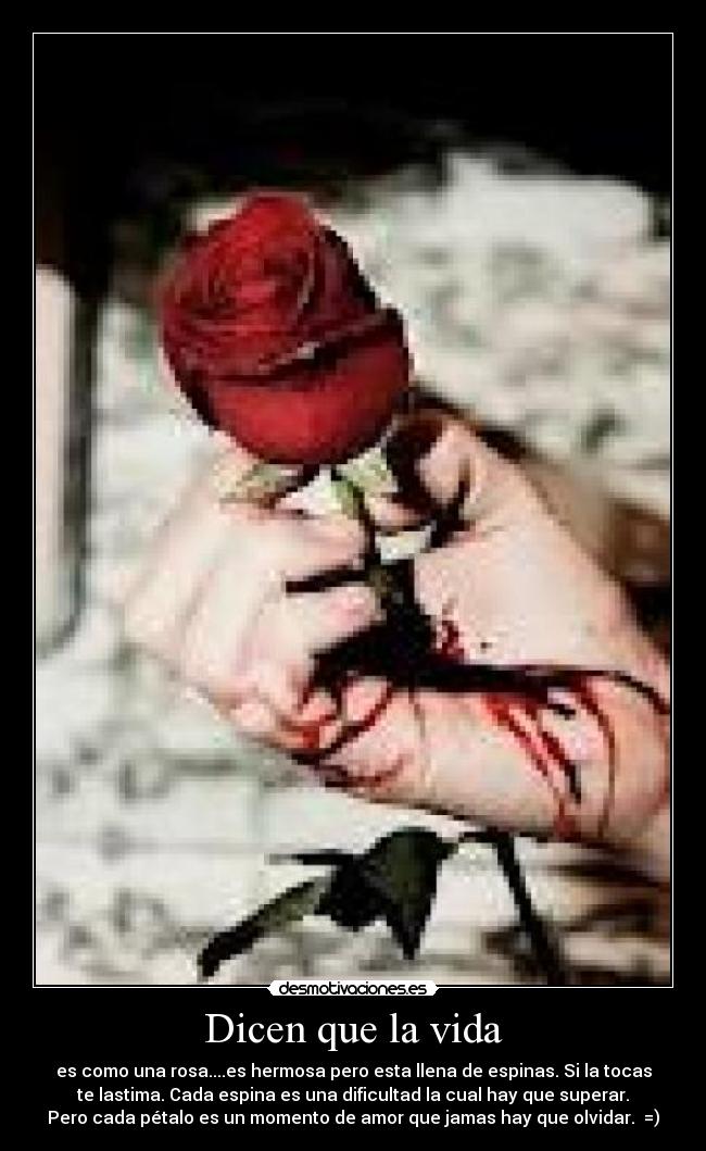 Dicen que la vida - es como una rosa....es hermosa pero esta llena de espinas. Si la tocas
te lastima. Cada espina es una dificultad la cual hay que superar.
Pero cada pétalo es un momento de amor que jamas hay que olvidar. =)