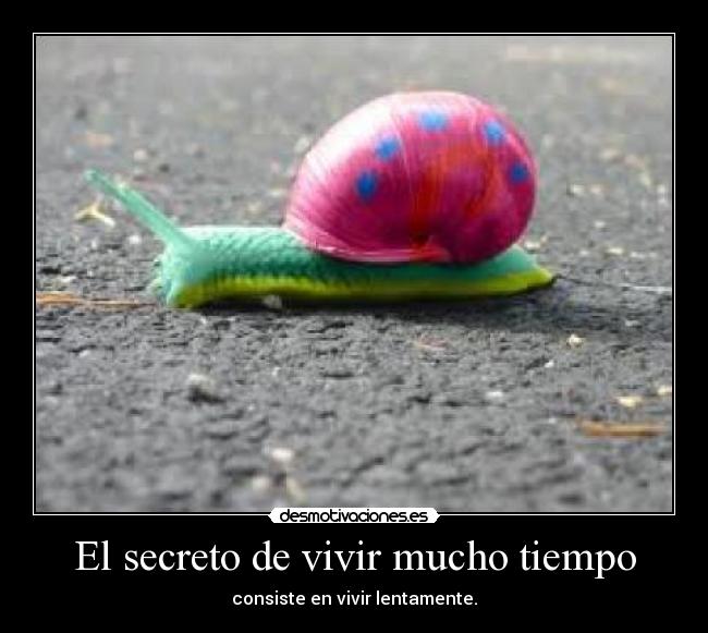 El secreto de vivir mucho tiempo - 