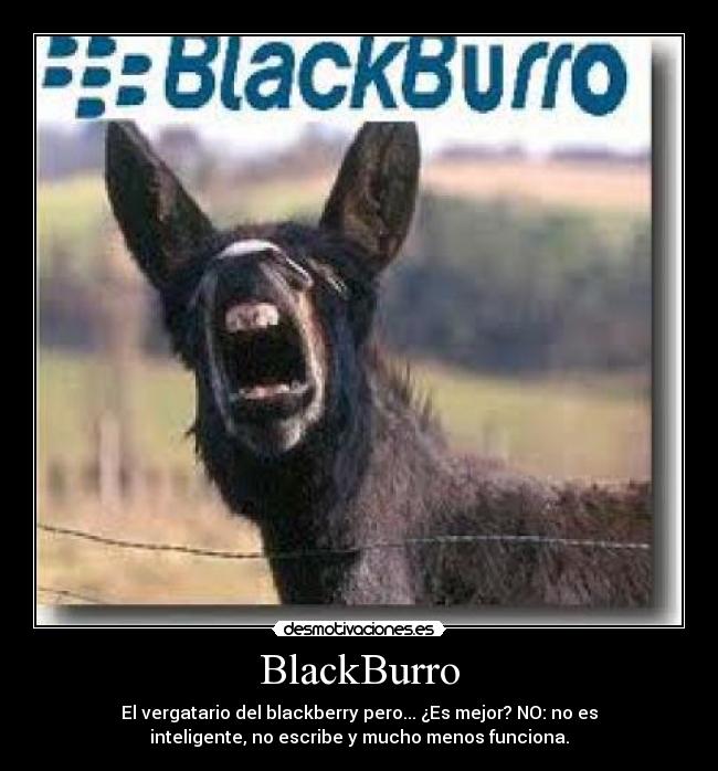 BlackBurro -