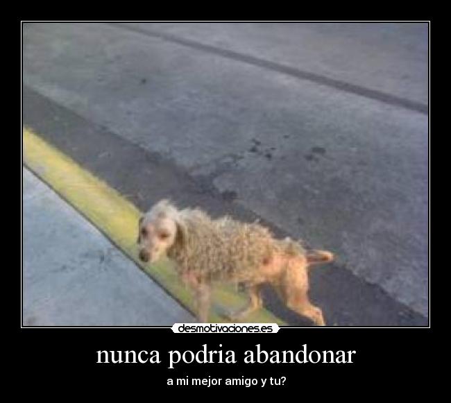nunca podria abandonar - a mi mejor amigo y tu?