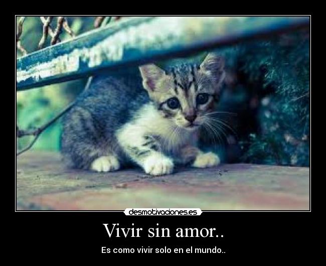Vivir sin amor.. -