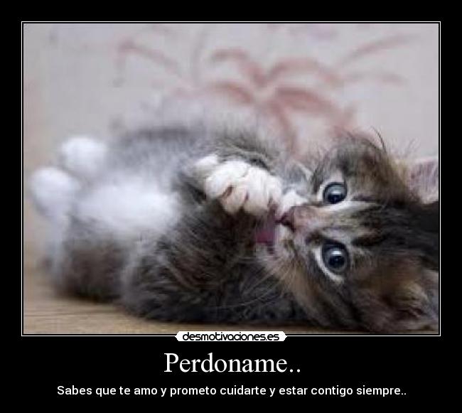 Perdoname.. - 