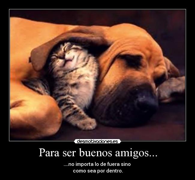 Para ser buenos amigos... - 