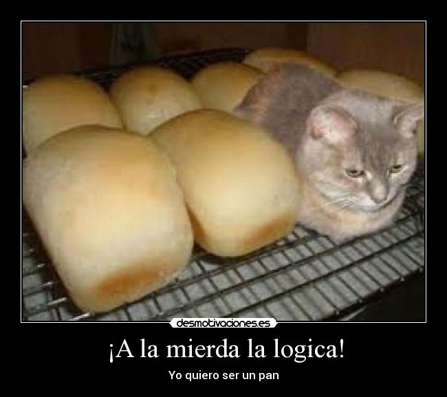 ¡A la mierda la logica! - Yo quiero ser un pan