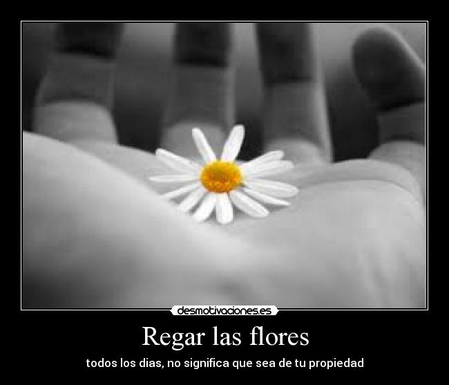 Regar las flores -