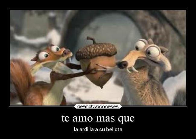 te amo mas que - la ardilla a su bellota