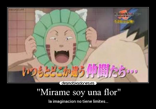 Mirame soy una flor - la imaginacion no tiene limites...