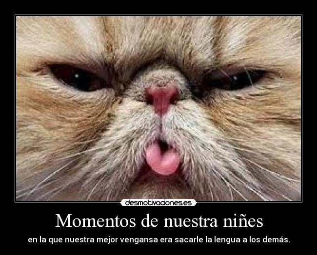 carteles 5454 desmotivaciones