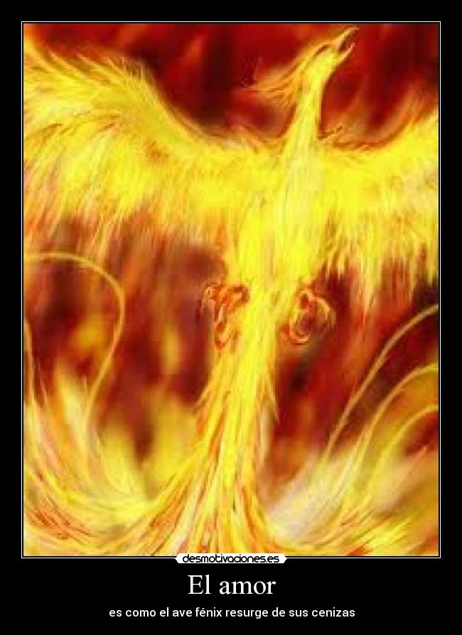 carteles amor jfelfiestero desmotivaciones