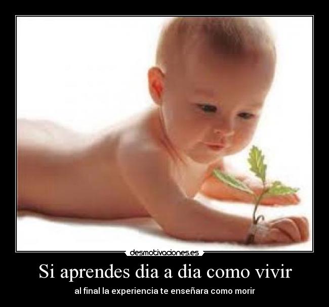 carteles arkrus desmotivaciones