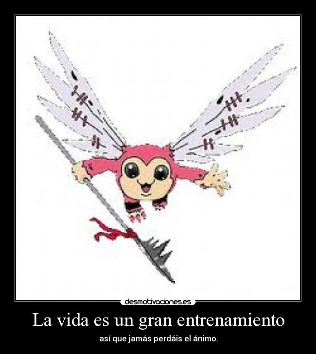 carteles vida piximon digimon adventure vida gran entrenamiento asi que perdais animo desmotivaciones