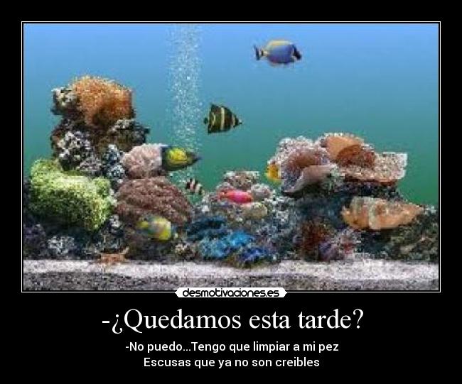 -¿Quedamos esta tarde? -