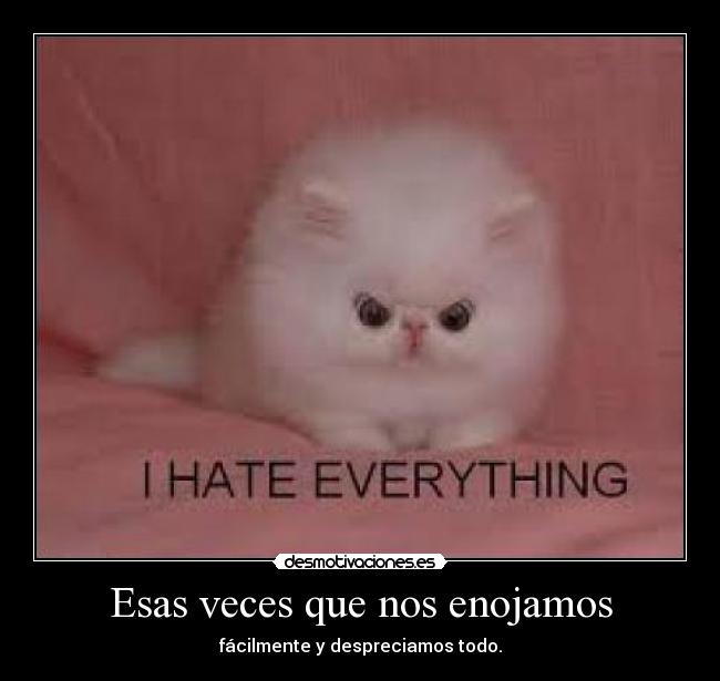 Esas veces que nos enojamos -