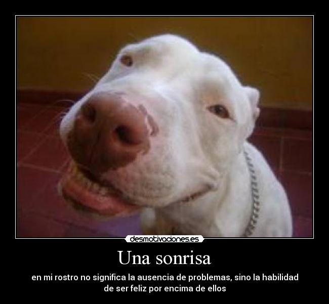 Una sonrisa - 