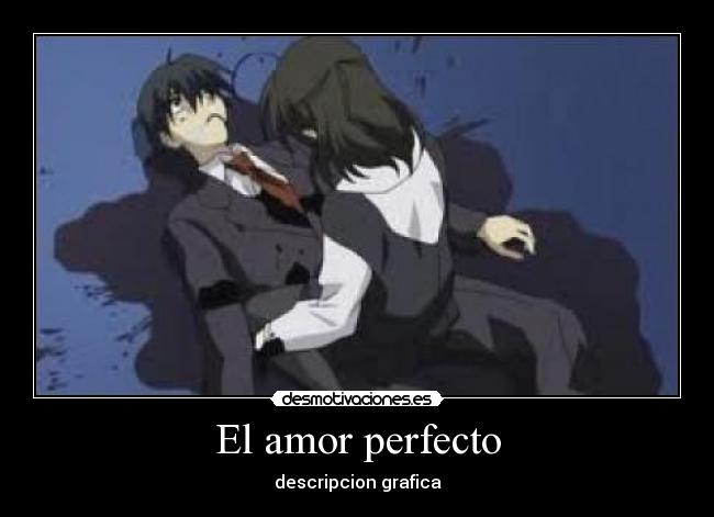 El amor perfecto - descripcion grafica