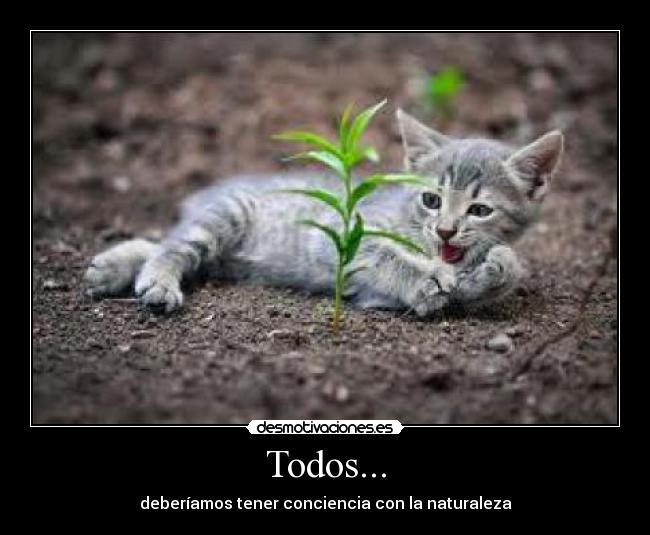 Todos... - deberíamos tener conciencia con la naturaleza