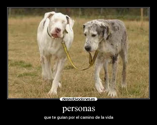 personas - que te guían por el camino de la vida
