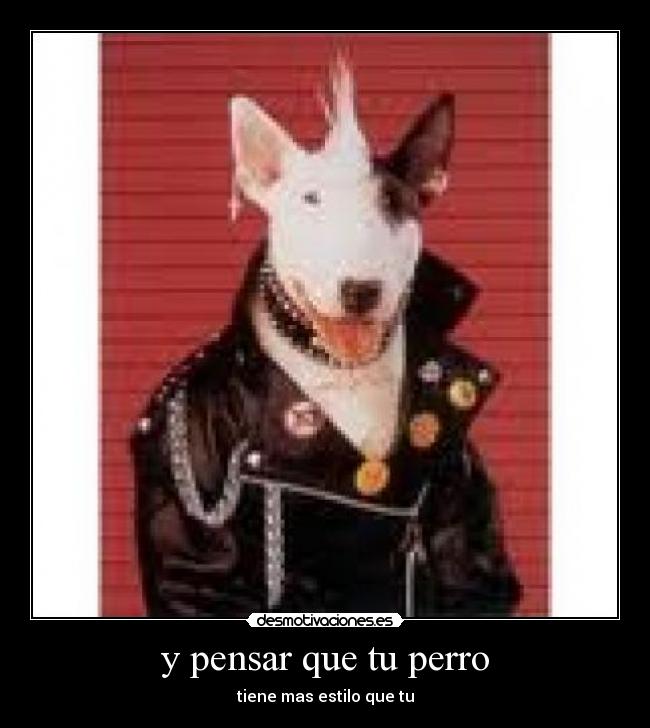 carteles xskh desmotivaciones