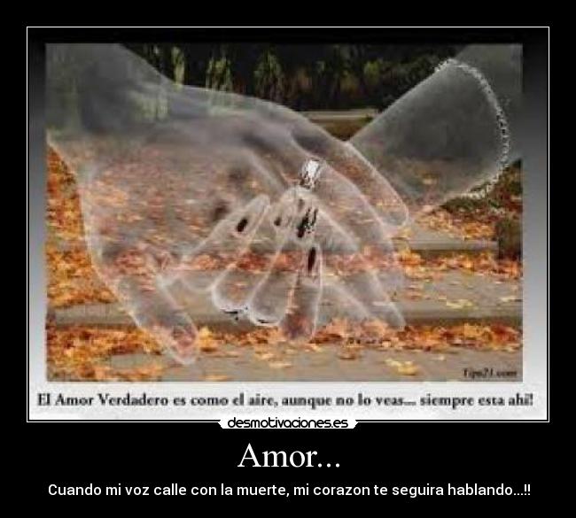 Amor... - Cuando mi voz calle con la muerte, mi corazon te seguira hablando...!!