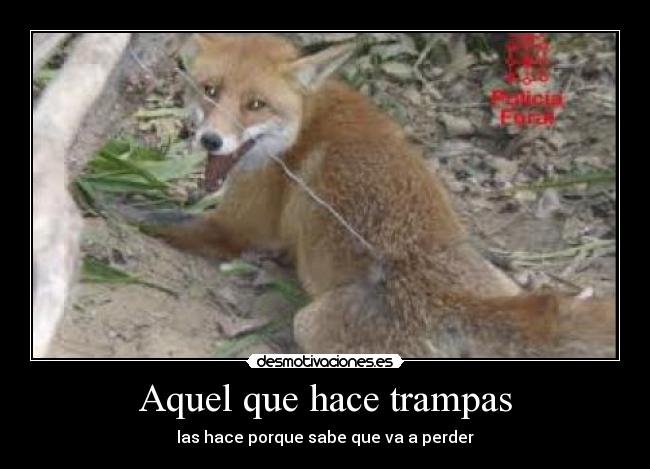 carteles tramposo desmotivaciones