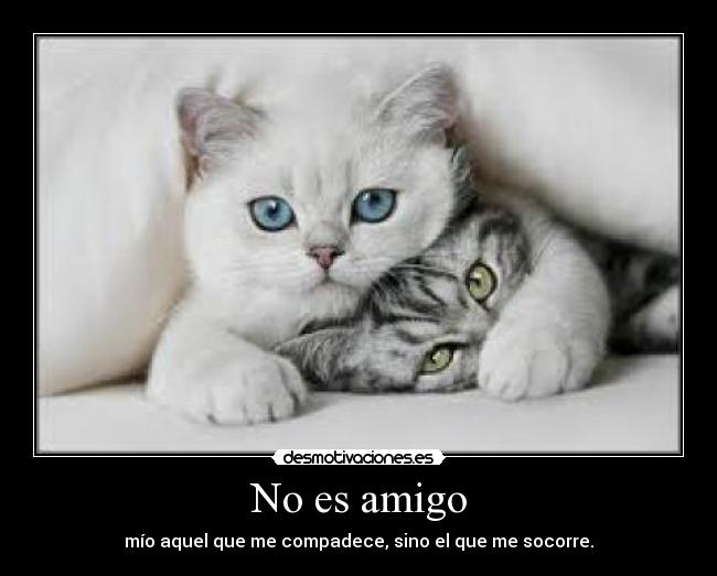 No es amigo - mío aquel que me compadece, sino el que me socorre.