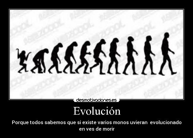 Evolución - Porque todos sabemos que si existe varios monos uvieran evolucionado
en ves de morir