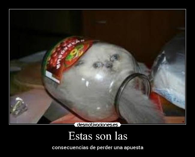 Estas son las - consecuencias de perder una apuesta