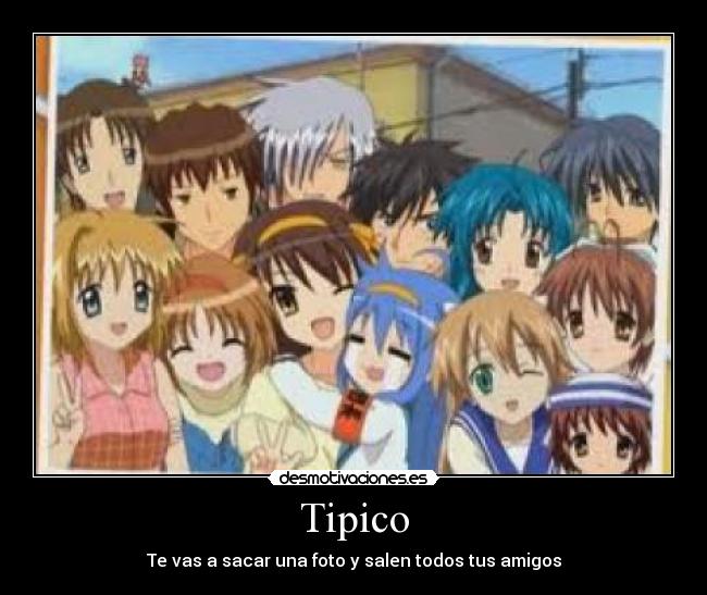 Tipico - 