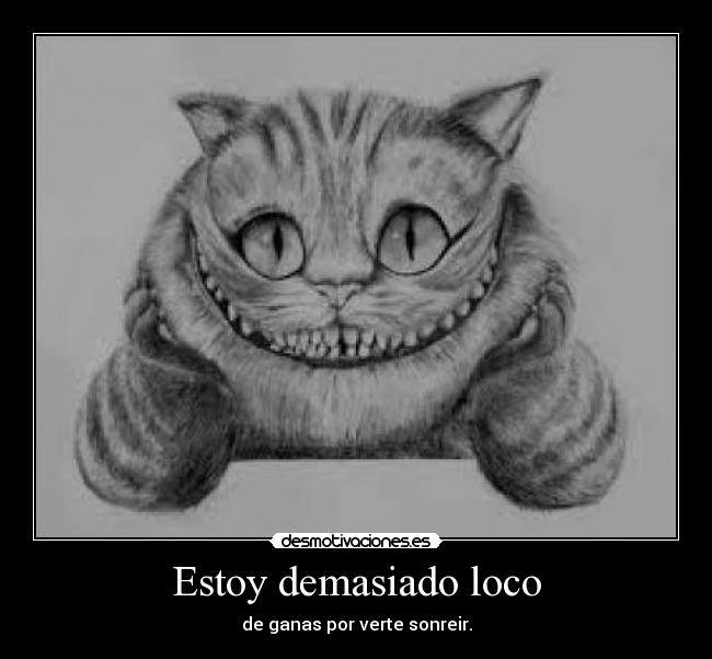 Estoy demasiado loco -
