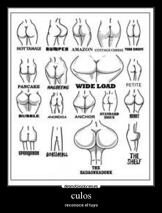 culos - reconoce el tuyo