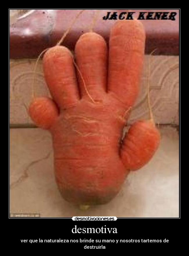 desmotiva - ver que la naturaleza nos brinde su mano y nosotros tartemos de destruirla