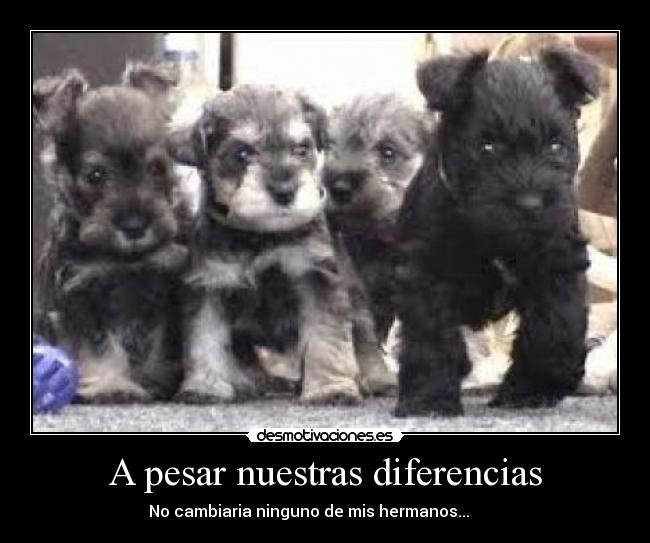 A pesar nuestras diferencias -