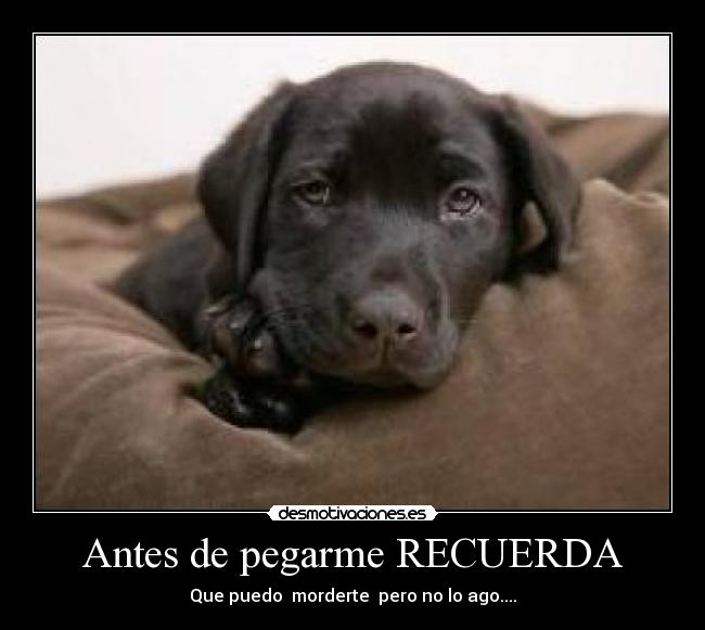 Antes de pegarme RECUERDA -