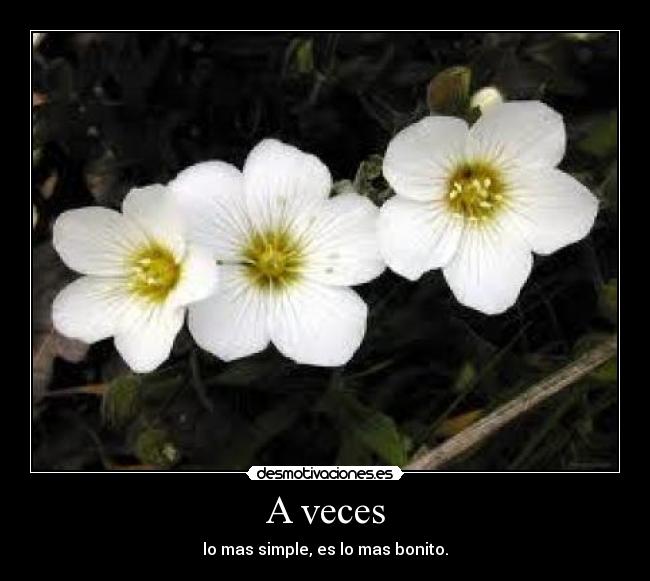 A veces - lo mas simple, es lo mas bonito.