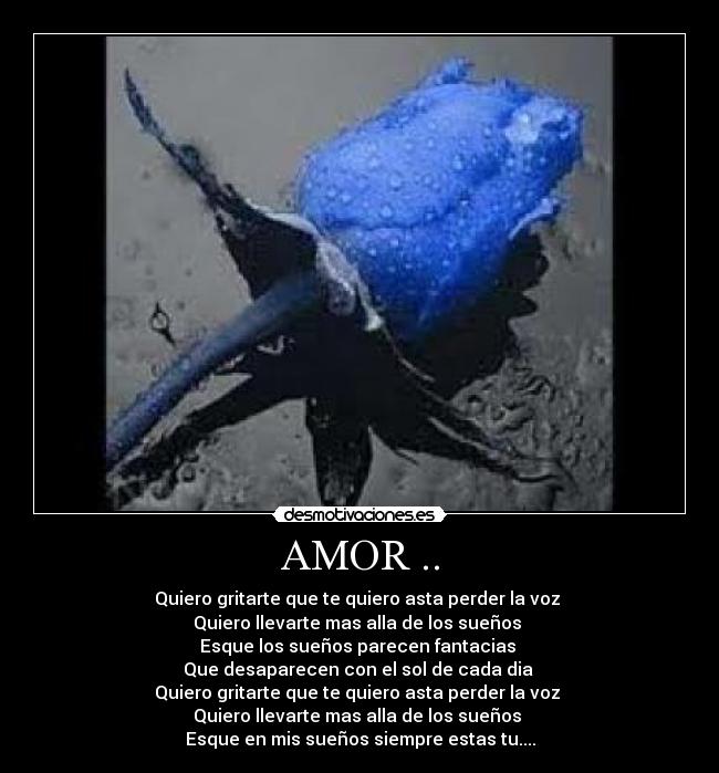 AMOR .. -