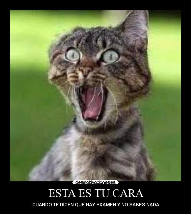 ESTA ES TU CARA -
