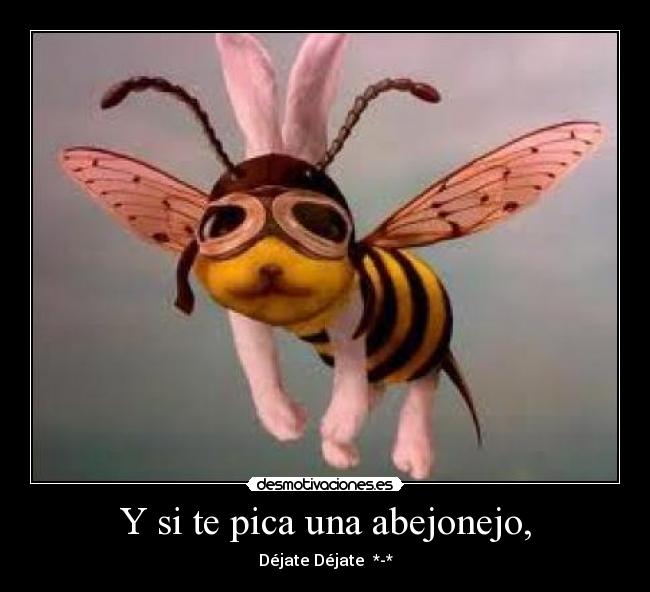 Y si te pica una abejonejo, - Déjate Déjate *-*