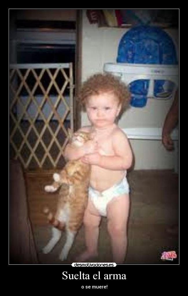Suelta el arma - o se muere!
