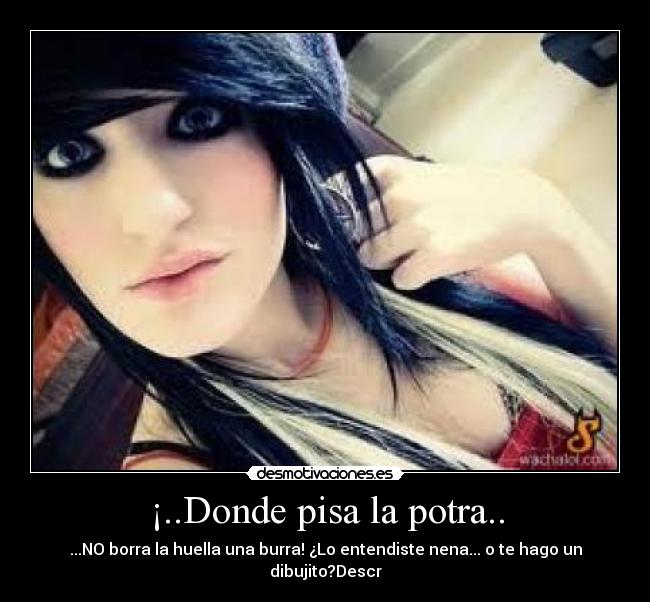 ¡..Donde pisa la potra.. - ...NO borra la huella una burra! ¿Lo entendiste nena... o te hago un dibujito?Descr