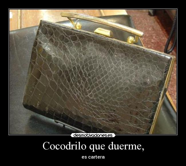Cocodrilo que duerme, - es cartera