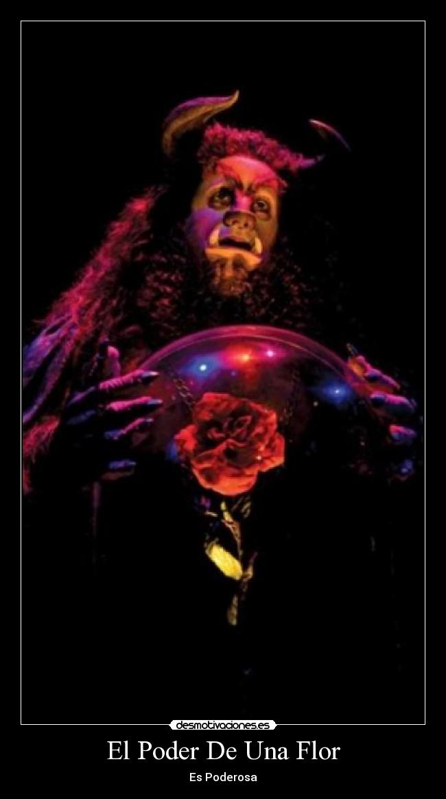 carteles bella bestia desmotivaciones