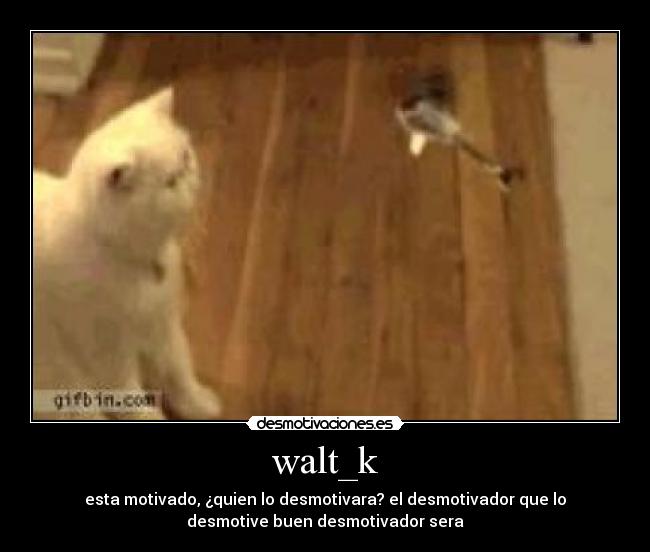 walt_k - esta motivado, ¿quien lo desmotivara? el desmotivador que lo
desmotive buen desmotivador sera